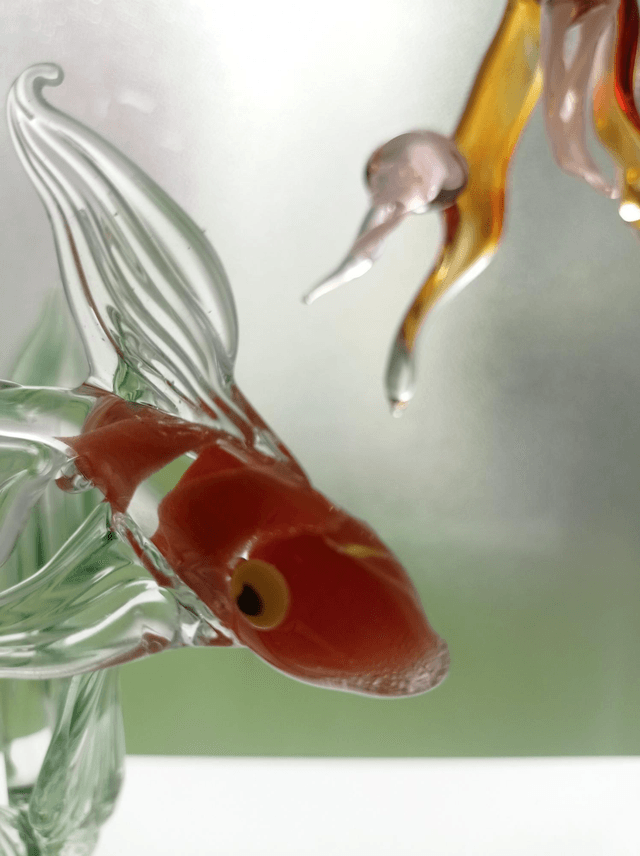 Cadre poisson rouge algue et méduses. Apposer ou suspendre