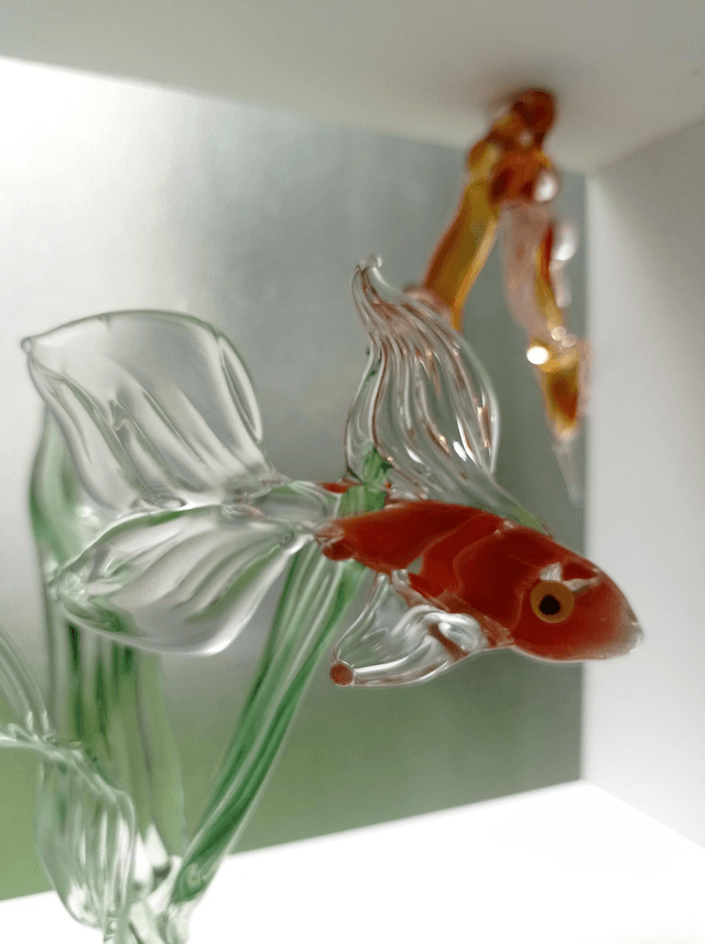 Cadre poisson rouge algue et méduses. Apposer ou suspendre